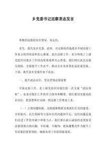 乡党委书记巡察表态发言