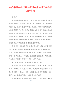 市委书记在全市重点领域业务培训工作会议上的讲话