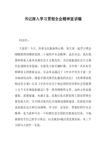 书记深入学习贯彻全会精神宣讲稿