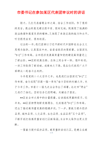 市委书记在参加某区代表团审议时的讲话