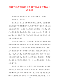 市委书记在市政协十四届三次会议开幕会上的讲话