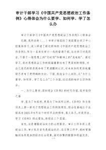 审计干部学习《中国共产党思想政治工作条例》心得体会为什么要学、如何学、学了怎么办