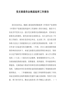 党支部委员会换届选举工作报告