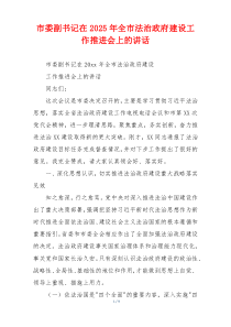 市委副书记在2025年全市法治政府建设工作推进会上的讲话