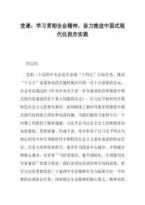 党课学习贯彻全会精神奋力推进中国式现代化我市实践