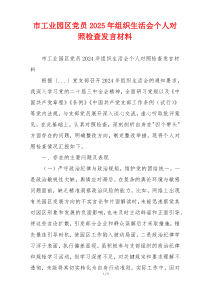 市工业园区党员2025年组织生活会个人对照检查发言材料