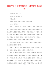 2025年3月份党支部三会一课支委会学习记录