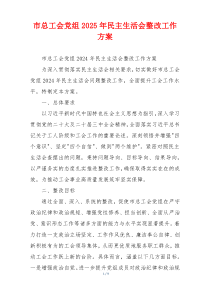 市总工会党组2025年民主生活会整改工作方案