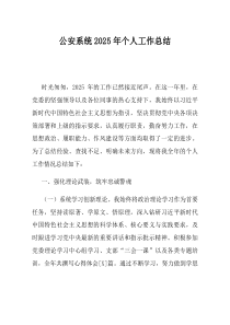 公安系统2025年个人工作总结