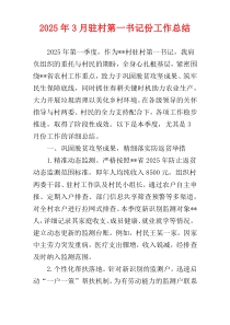 2025年3月驻村第一书记份工作总结