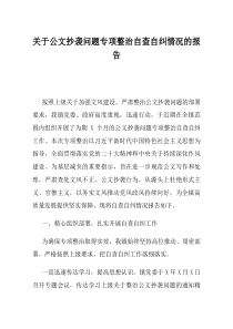 关于公文抄袭问题专项整治自查自纠情况的报告