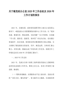 关于镇党政办公室2025年工作总结及2026年工作计划的报告