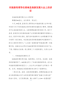 市旅游局领导在肃南县旅游发展大会上的讲话