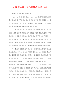 市属国企重点工作部署会讲话2025