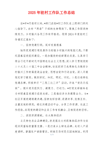 2025年​驻村工作队工作总结