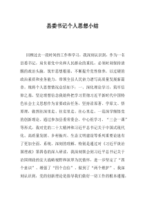 县委书记个人思想小结
