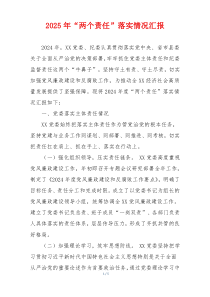 2025年“两个责任”落实情况汇报