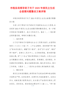 市税务局领导班子关于2025年度民主生活会查摆问题整改方案详情