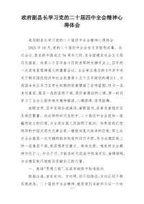 政府副县长学习党的二十届四中全会精神心得体会