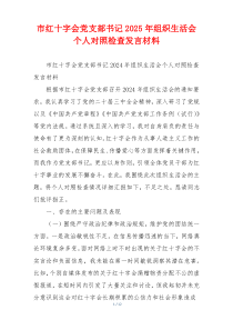 市红十字会党支部书记2025年组织生活会个人对照检查发言材料