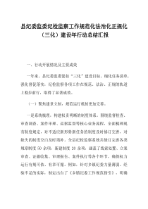 县纪委监委纪检监察工作规范化法治化正规化三化建设年行动总结汇报