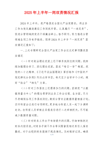 2025年上半年一岗双责情况汇报