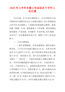 2025年上半年乡镇工作总结及下半年工作打算
