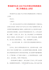 常务副市长在2025年全市深化审批制度改革工作推进会上讲话