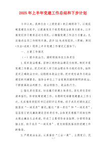 2025年上半年党建工作总结和下步计划
