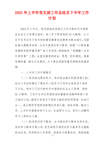 2025年上半年党支部工作总结及下半年工作计划