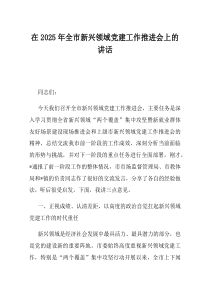 在2025年全市新兴领域党建工作推进会上的讲话