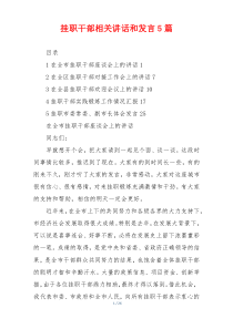 挂职干部相关讲话和发言5篇