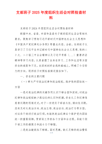 支部班子2025年度组织生活会对照检查材料