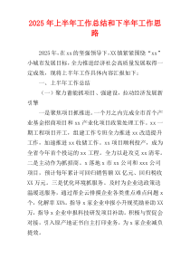 2025年上半年工作总结和下半年工作思路