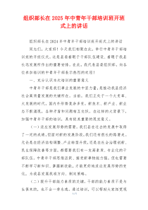 组织部长在2025年中青年干部培训班开班式上的讲话