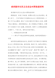 政府副市长民主生活会对照检查材料