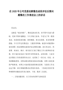 在2025年公司党委巡察整改成效评估反馈问题整改工作推进会上的讲话