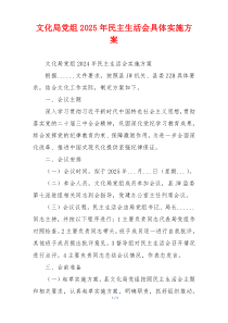 文化局党组2025年民主生活会具体实施方案