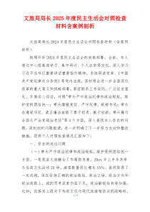 文旅局局长2025年度民主生活会对照检查材料含案例剖析