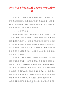 2025年上半年纪委工作总结和下半年工作计划