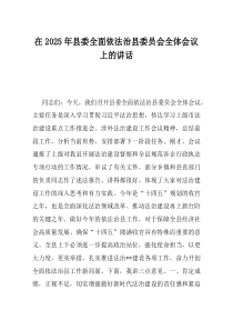 在2025年县委全面依法治县委员会全体会议上的讲话