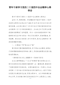 青年干部学习党的二十届四中全会精神心得体会