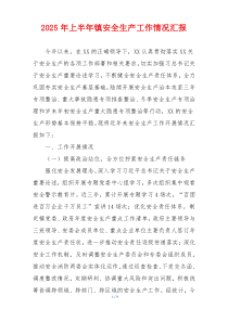2025年上半年镇安全生产工作情况汇报