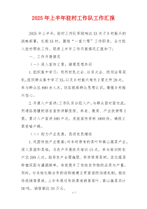 2025年上半年驻村工作队工作汇报