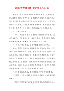 2025年两新组织指导员工作总结