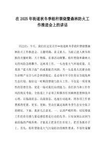 在2025年街道秋冬季秸秆禁烧暨森林防火工作推进会上的讲话