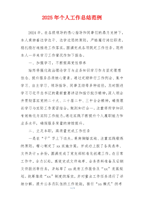 2025年个人工作总结范例