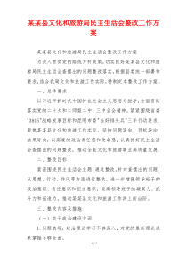 某某县文化和旅游局民主生活会整改工作方案