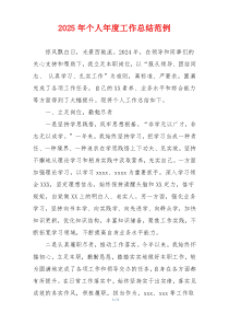 2025年个人年度工作总结范例