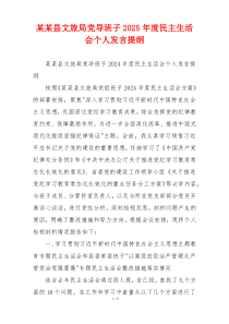 某某县文旅局党导班子2025年度民主生活会个人发言提纲
